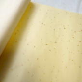 �ܐF ���� ���邢���