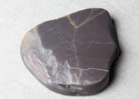 �[�k���@�V�B�@����