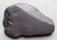 �[�k���@�V�B�@��������