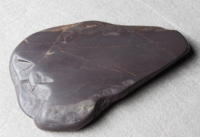 �[�k���@�V�B�@��������