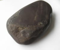 �[�k���@�V�B�@5.5�D �חt��