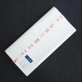 �ܐ��v �l�� �Ǘ��ȘA 100��